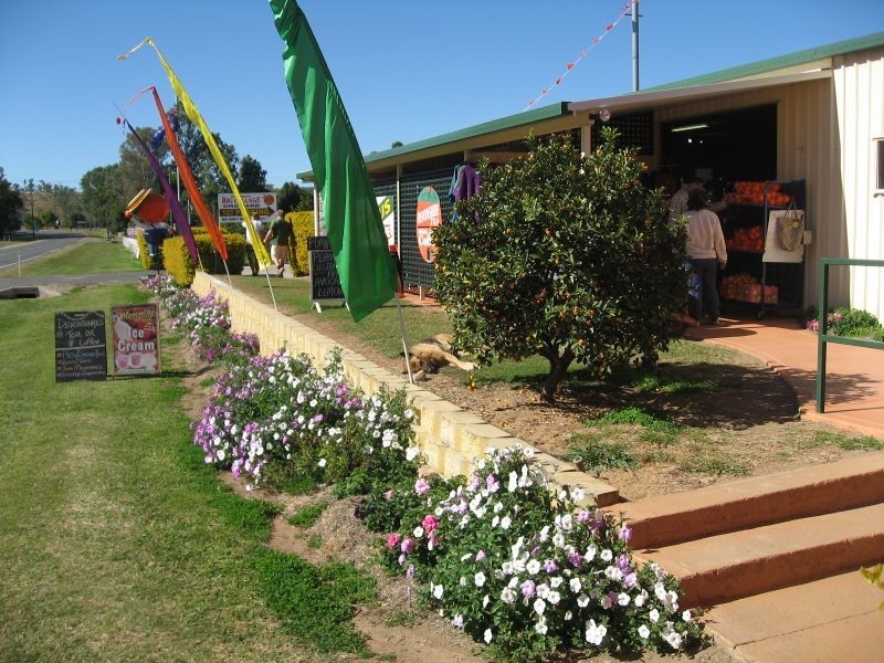 3 Mick Lutvey Street., Gayndah QLD 4625