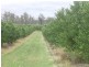 233 BERONNE ROAD, Gayndah QLD 4625