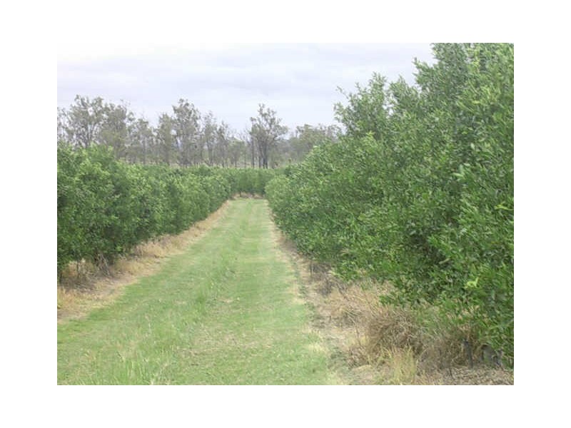 233 BERONNE ROAD, Gayndah QLD 4625