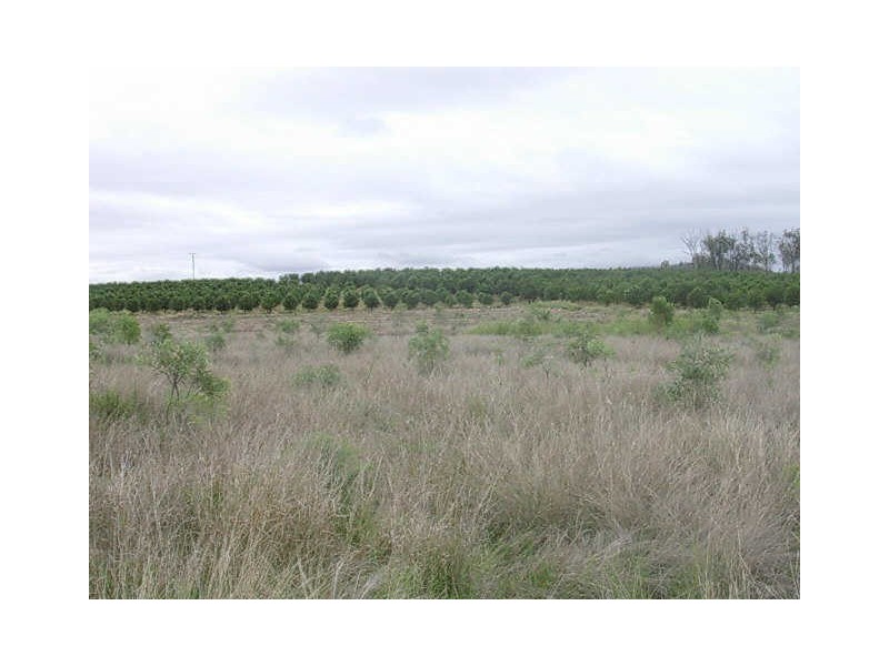 233 BERONNE ROAD, Gayndah QLD 4625
