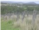 233 BERONNE ROAD, Gayndah QLD 4625