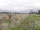233 BERONNE ROAD, Gayndah QLD 4625