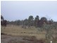 Lot 692 Mount Shamrock Road, Coringa QLD 4621