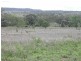 20122 BURNETT HIGHWAY, Mundubbera QLD 4626