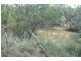 20122 BURNETT HIGHWAY, Mundubbera QLD 4626