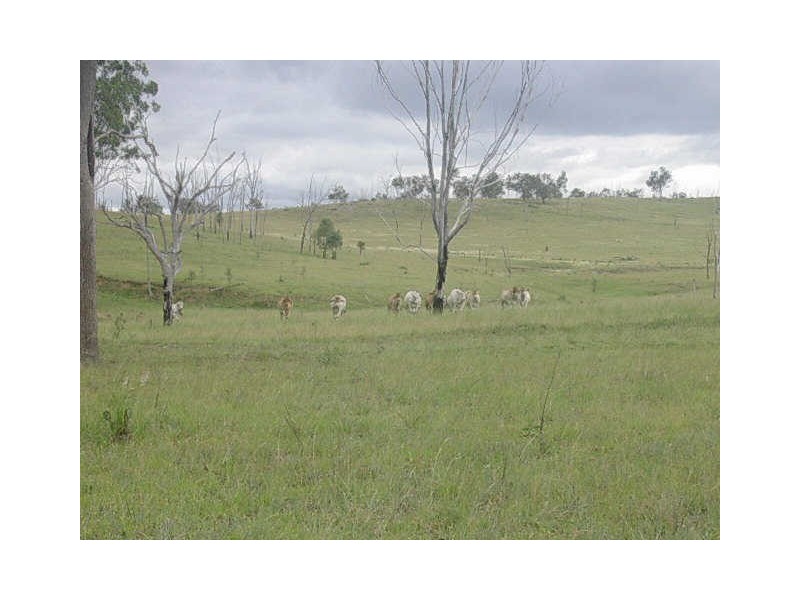 Lot 16 Sunday Creek, Binjour QLD 4625