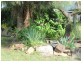11 Mount Rose Street, Eidsvold QLD 4627