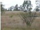 Lot 2 Abbotts Road, Gayndah QLD 4625