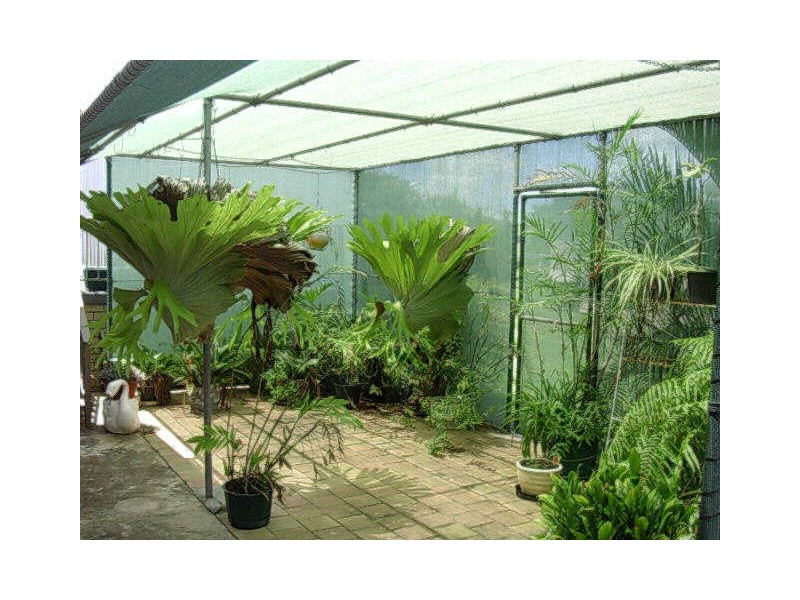 109 Meson Street, Gayndah QLD 4625