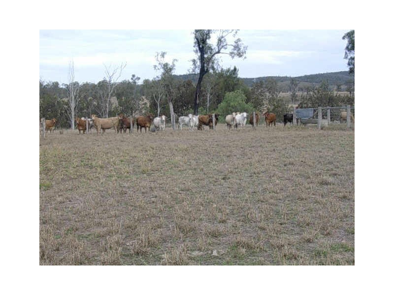LOT 19 WETHERON – BENYENDA ROAD, Gayndah QLD 4625