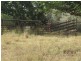 70 Blees Road, Mundubbera QLD 4626