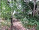 Mount Perry QLD 4671