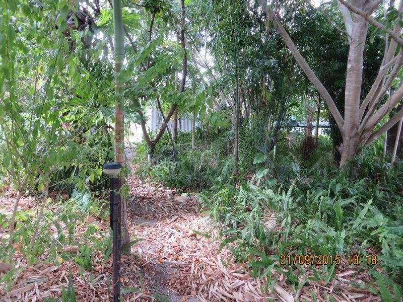 Mount Perry QLD 4671