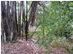 Mount Perry QLD 4671