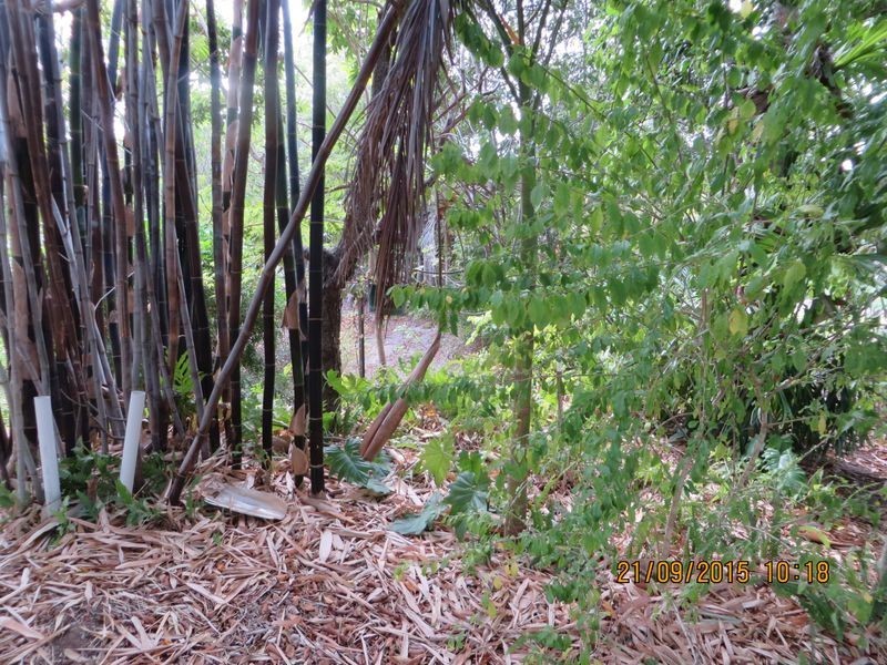 Mount Perry QLD 4671