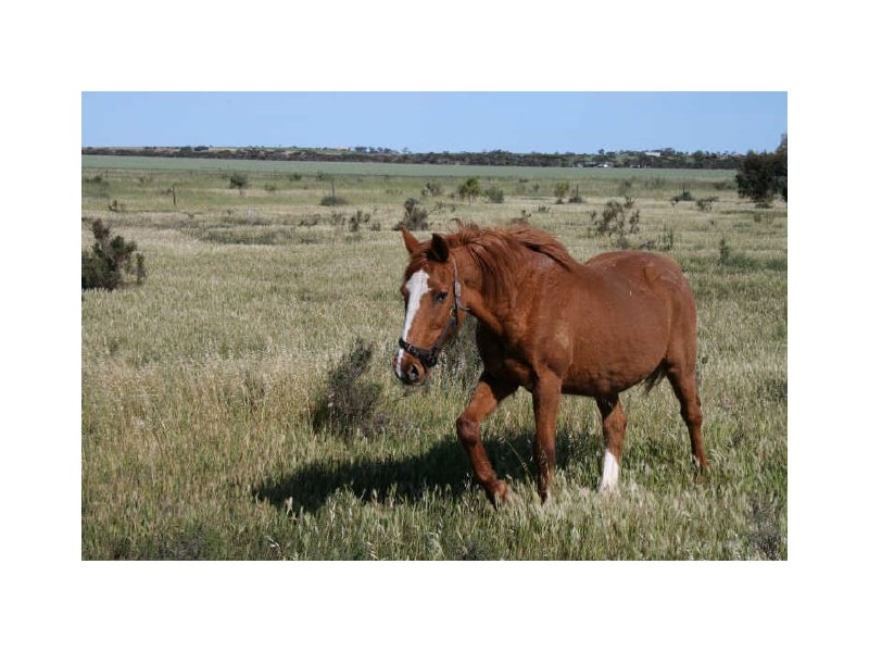 Lot 3 Failie Drive, Price SA 5570