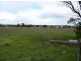 Sec 218, 219 & 228 Hundred of Curramulka, Curramulka SA 5580