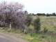 Sec 218, 219 & 228 Hundred of Curramulka, Curramulka SA 5580