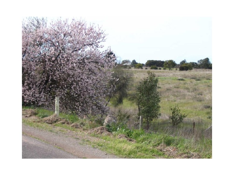 Sec 218, 219 & 228 Hundred of Curramulka, Curramulka SA 5580
