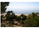83 Main Coast Road, Pine Point SA 5571