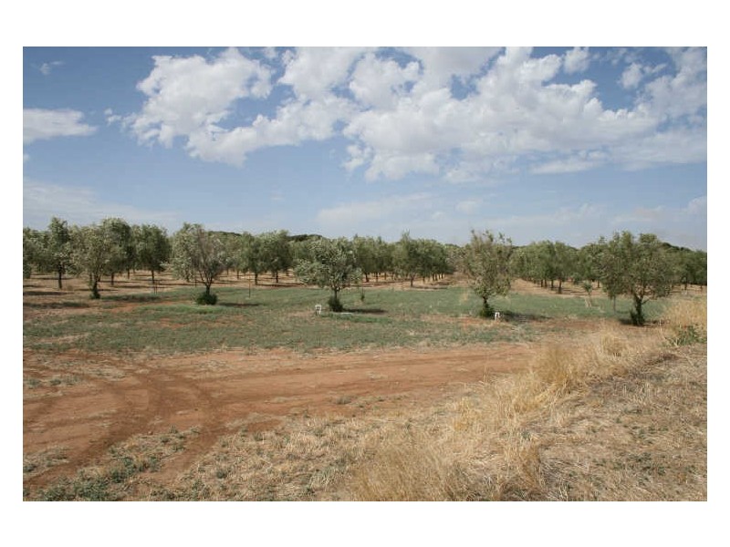 Lot/3 Seaview Road, Maitland SA 5573