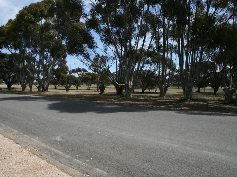 17 Maitland Terrace, Maitland SA 5573