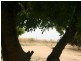 Lot/114 Black Point Drive, Pine Point SA 5571