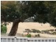 Lot/114 Black Point Drive, Pine Point SA 5571