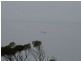 Lot/114 Black Point Drive, Pine Point SA 5571