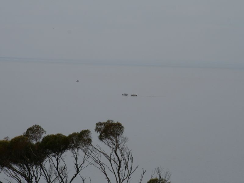 Lot/114 Black Point Drive, Pine Point SA 5571