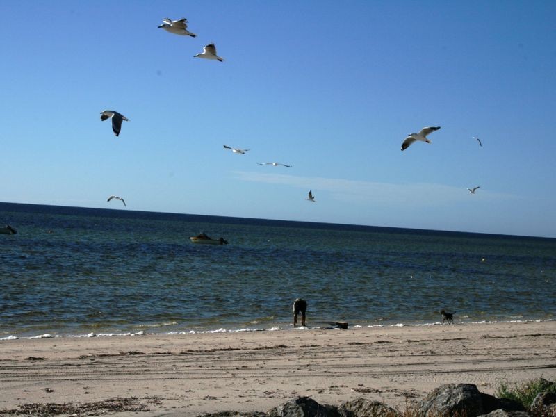 Lot/28 Chinaman Wells Road, Chinaman Wells SA 5573