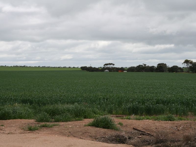 Lots/37 – 41 Bridge Road, Ardrossan SA 5571