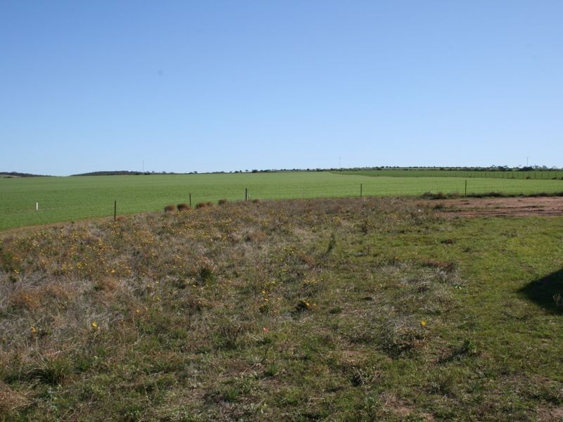 106 Brown Road, James Well SA 5571