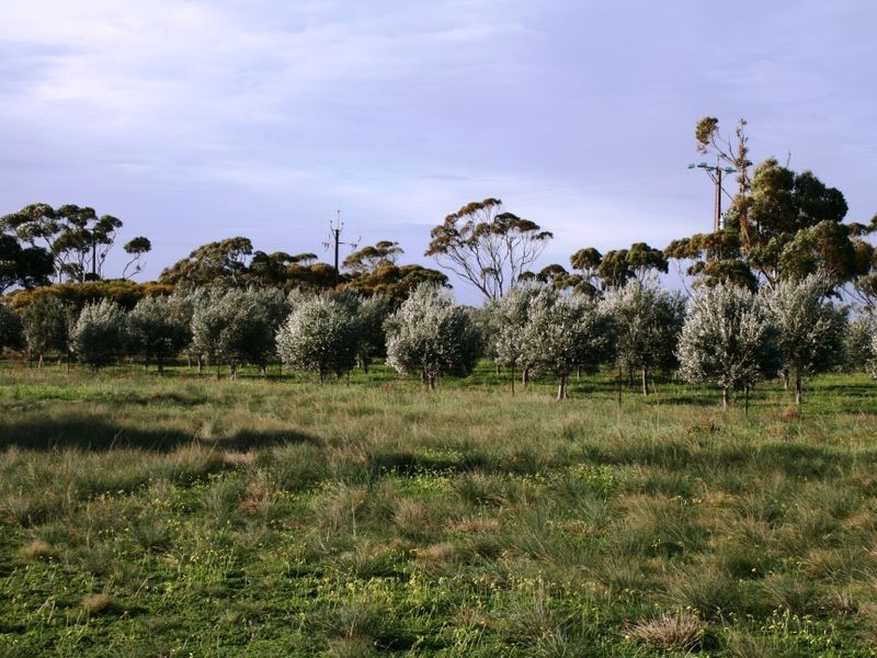 Sec 30 & 3 Hundred of Clinton, Price SA 5570