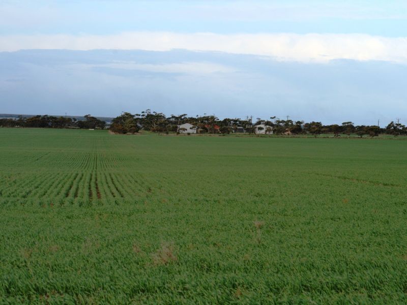 Sec 30 & 3 Hundred of Clinton, Price SA 5570