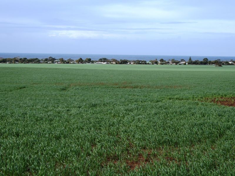 Sec 30 & 3 Hundred of Clinton, Price SA 5570