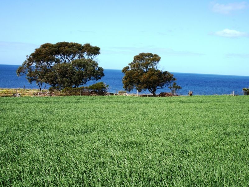 45 Chapman Road, Rogues Point SA 5571