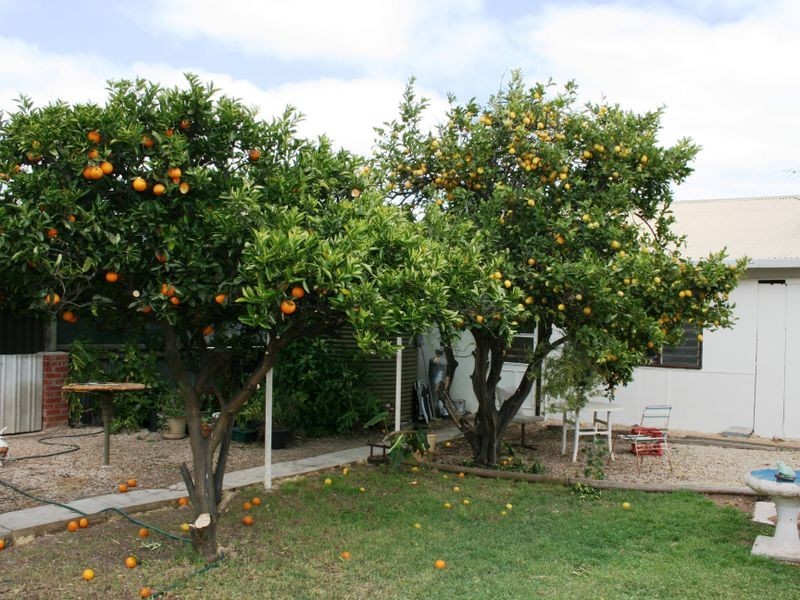 12 Main Street, Arthurton SA 5572