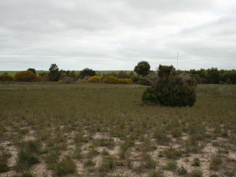 Lot/406 Black Point Drive, Black Point SA 5571