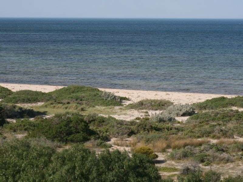 8 Brown Road, James Well SA 5571