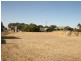 Lot/325 Petersen / Cane Road via PETERSVILLE, Ardrossan SA 5571