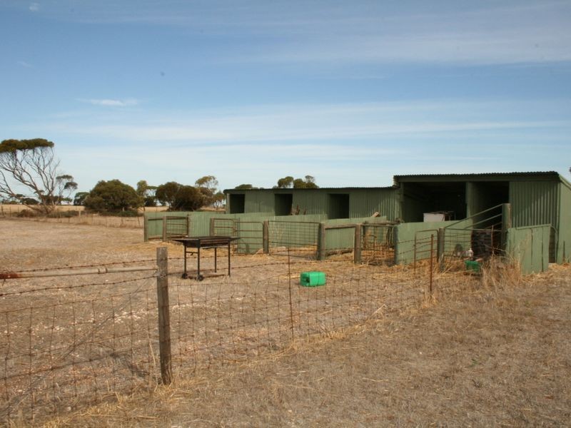 Lot/325 Petersen / Cane Road via PETERSVILLE, Ardrossan SA 5571