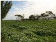 Lot/14468 Spencer Highway, Weetulta SA 5573