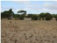 Lot/70 Osprey Street, Port Julia SA 5575