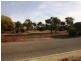 12 Wells Terrace, Price SA 5570