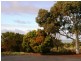 52 Esplanade, Pine Point SA 5571
