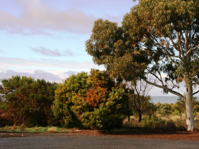 52 Esplanade, Pine Point SA 5571