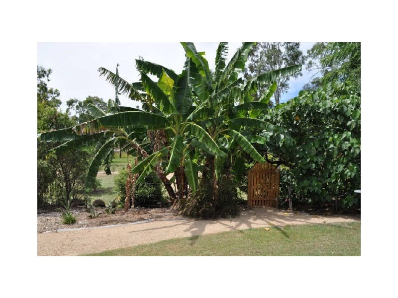 15 Beecher Street, Beecher QLD 4680