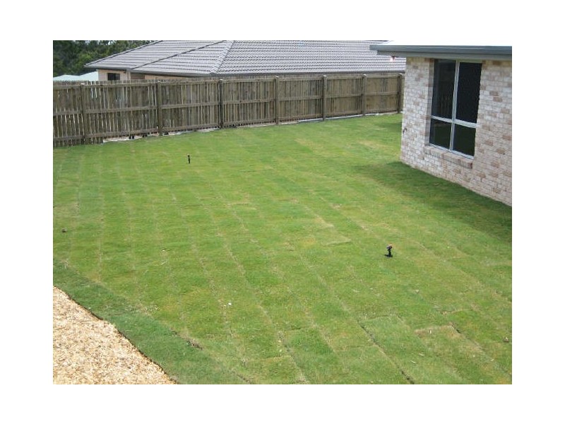 6 Jordana Court, New Auckland QLD 4680