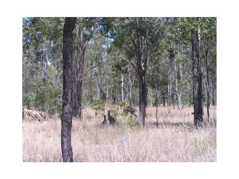 330 Calliope River Road, Yarwun QLD 4694